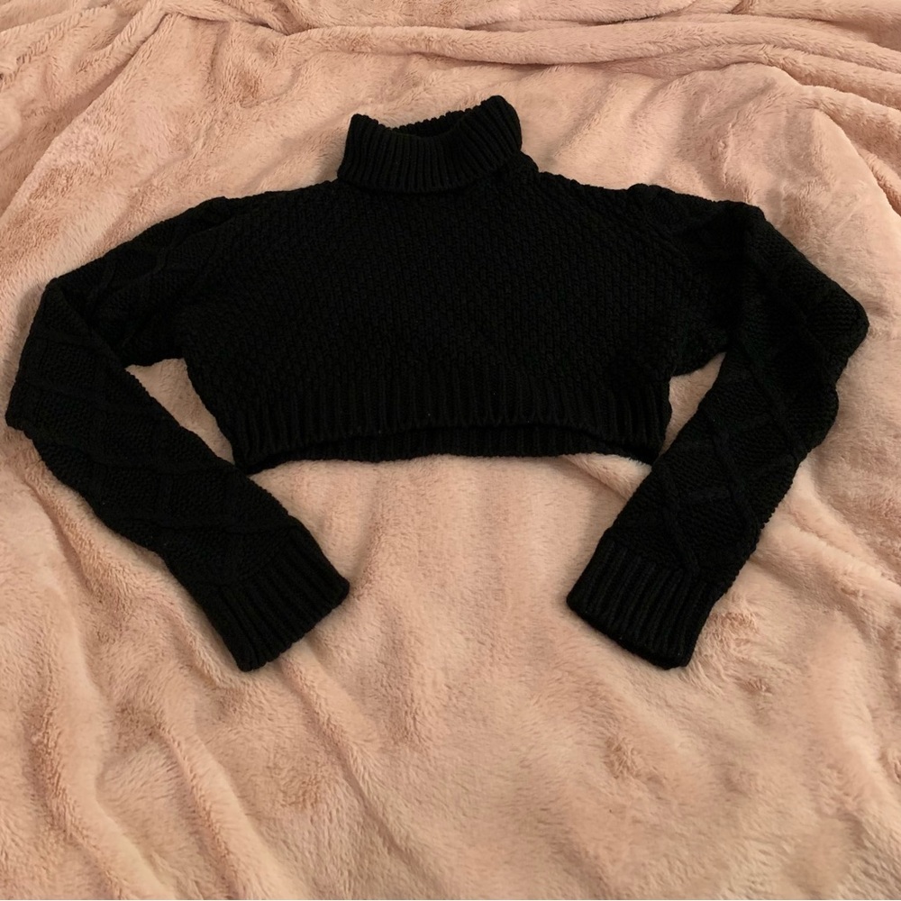 PLT: Black Cropped Sweater (Fitted)